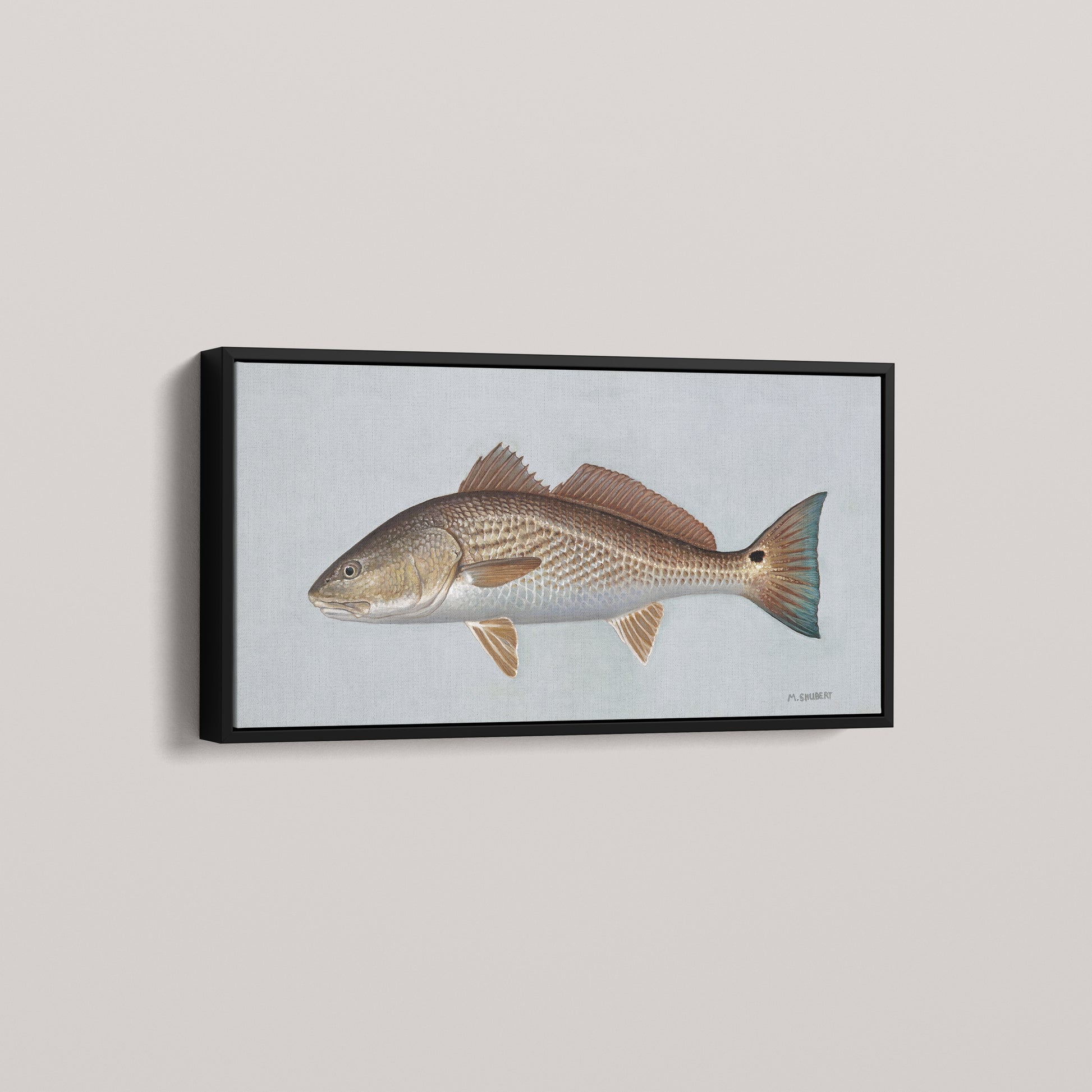 Red Drum framed canvas mockup