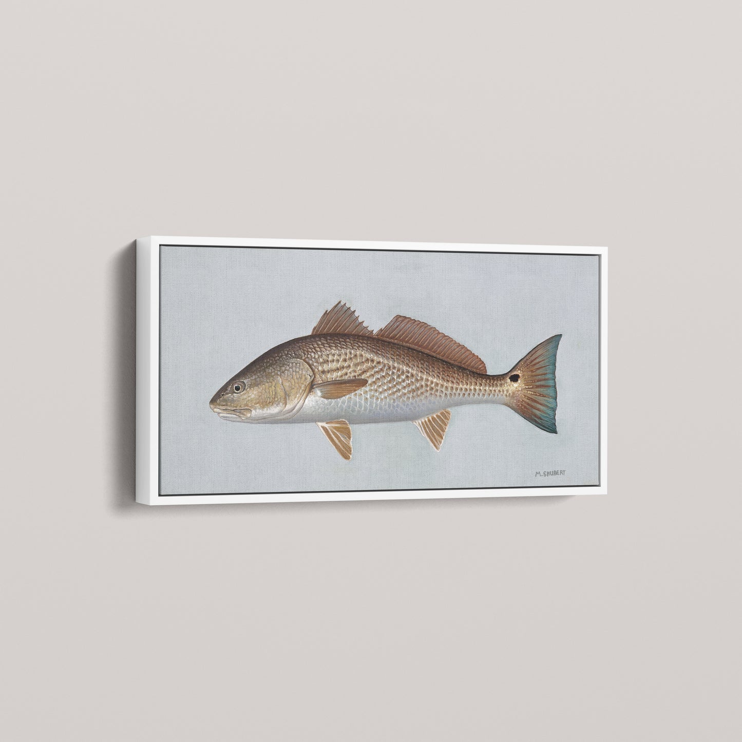 Red Drum framed canvas mockup