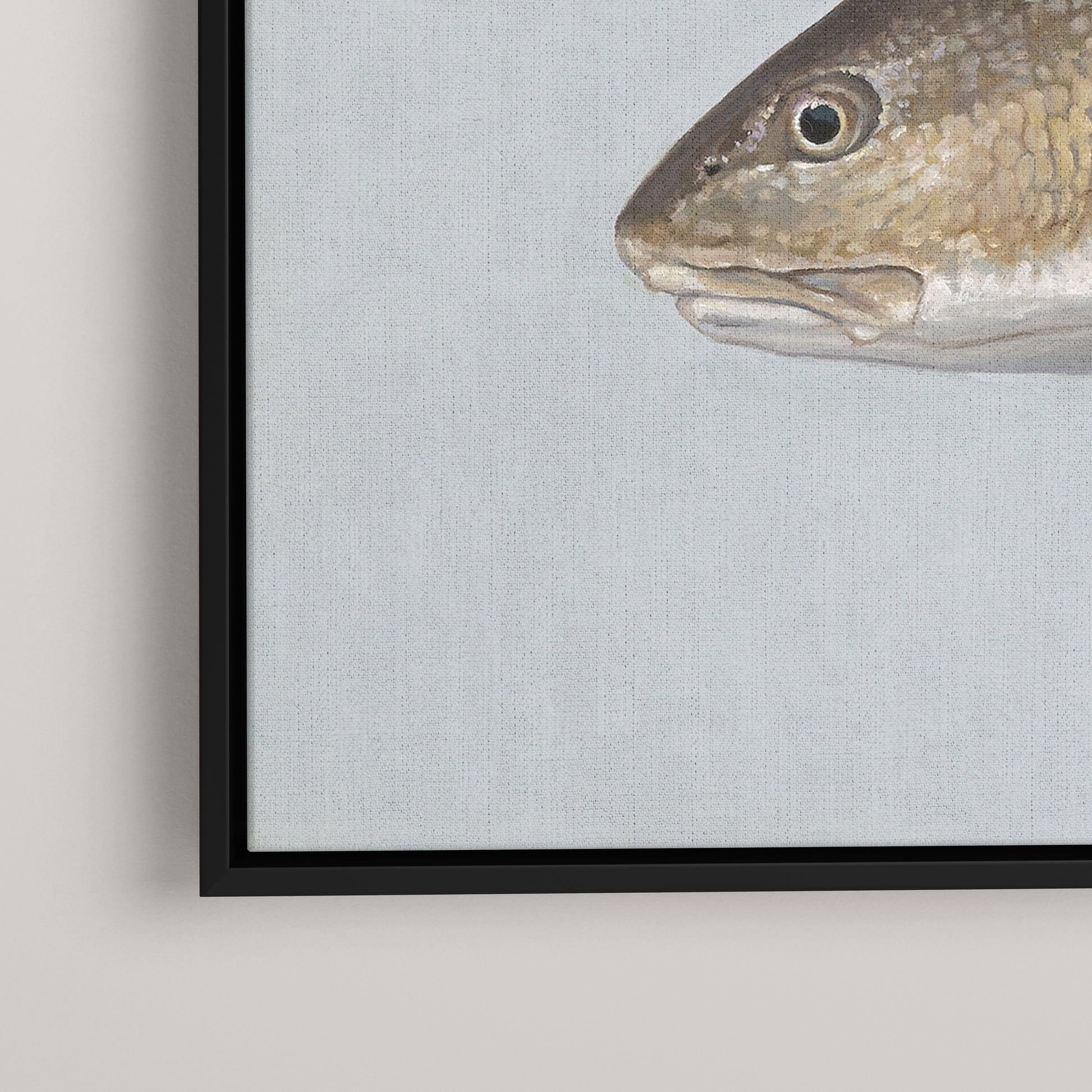 Red Drum framed canvas mockup