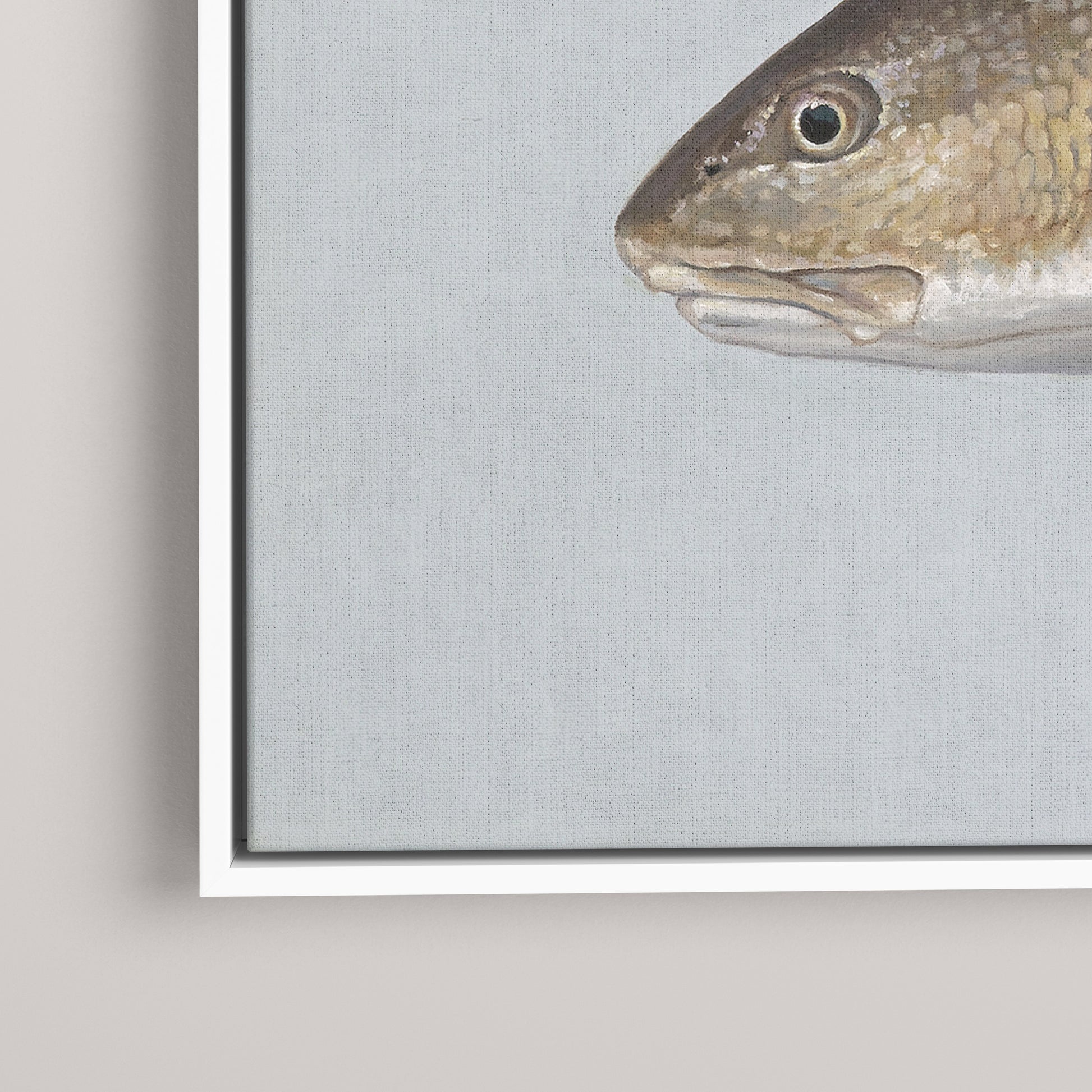 Red Drum framed canvas mockup