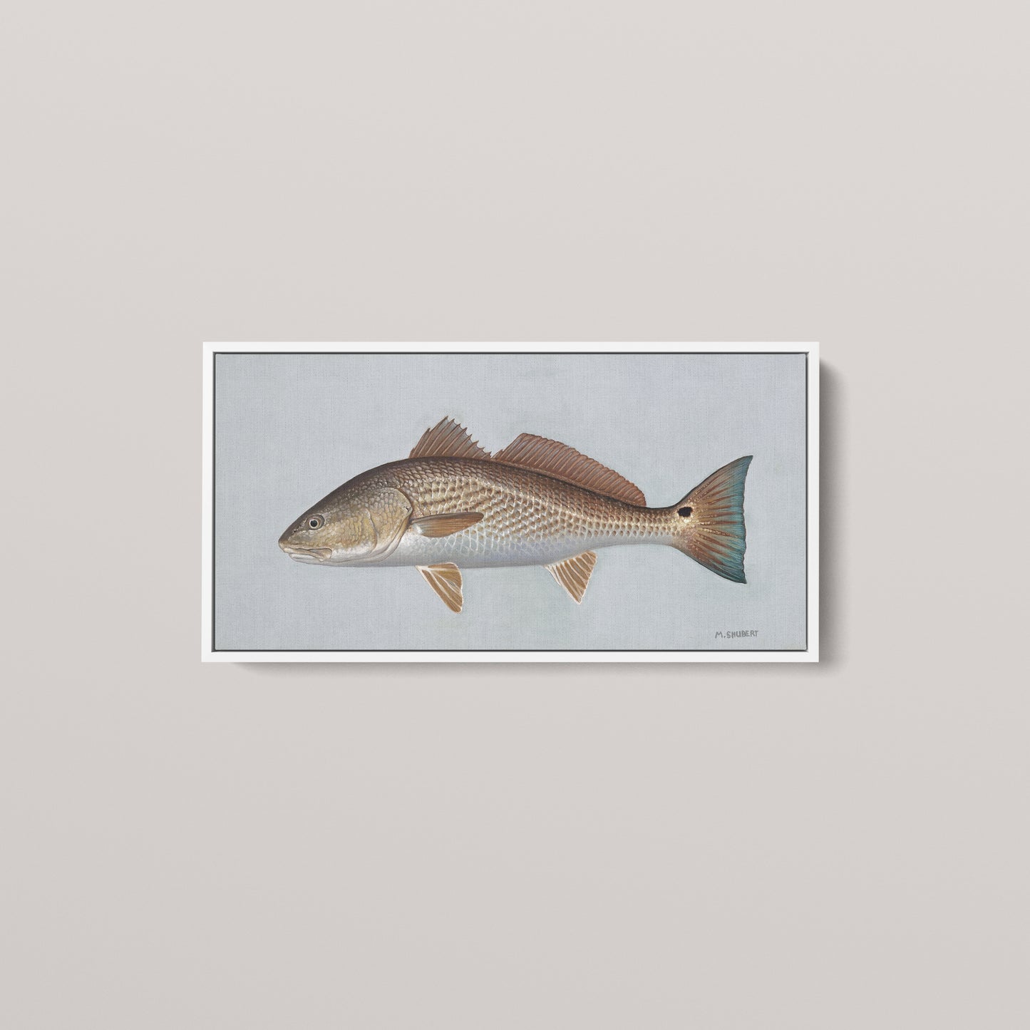 Red Drum framed canvas mockup