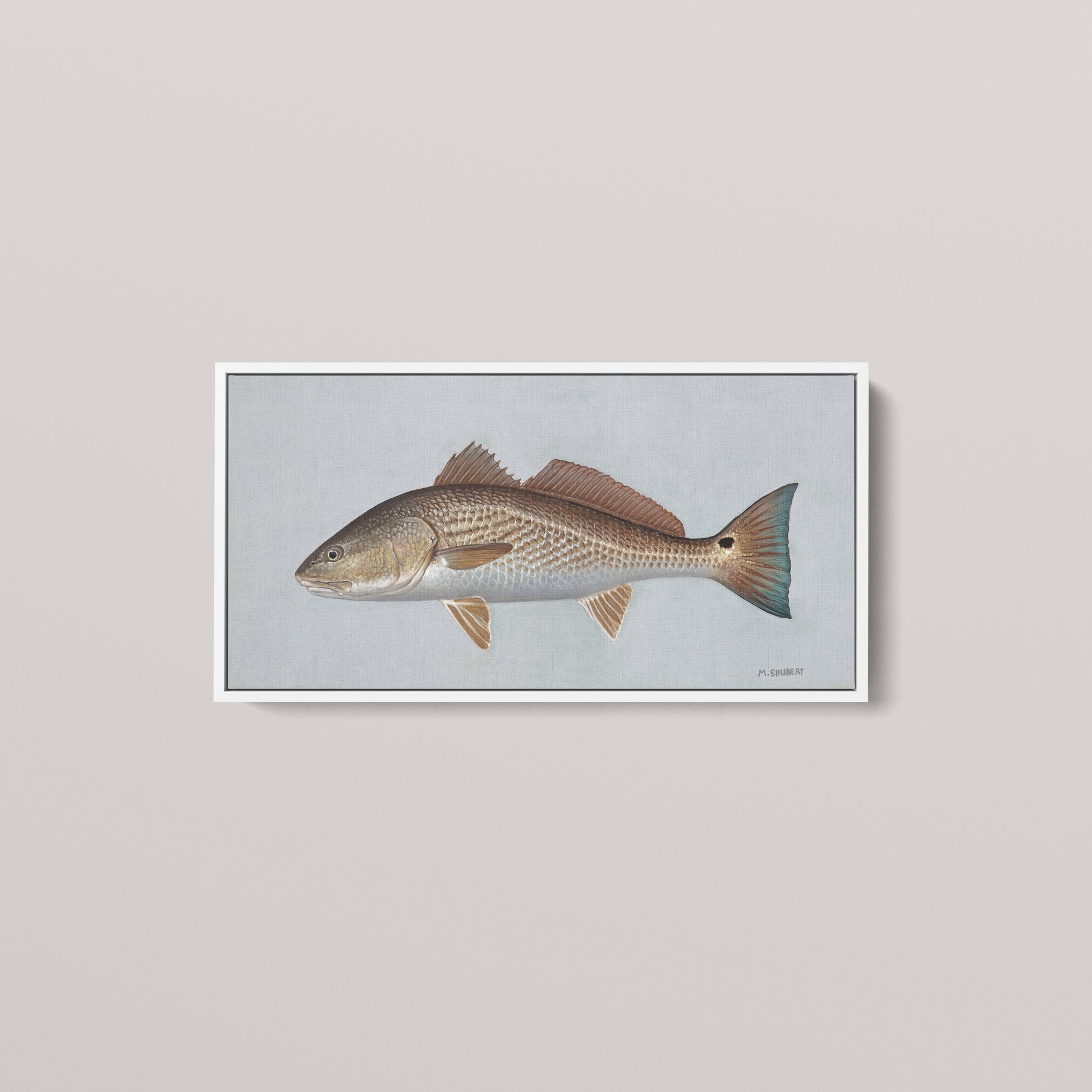 Red Drum framed canvas mockup