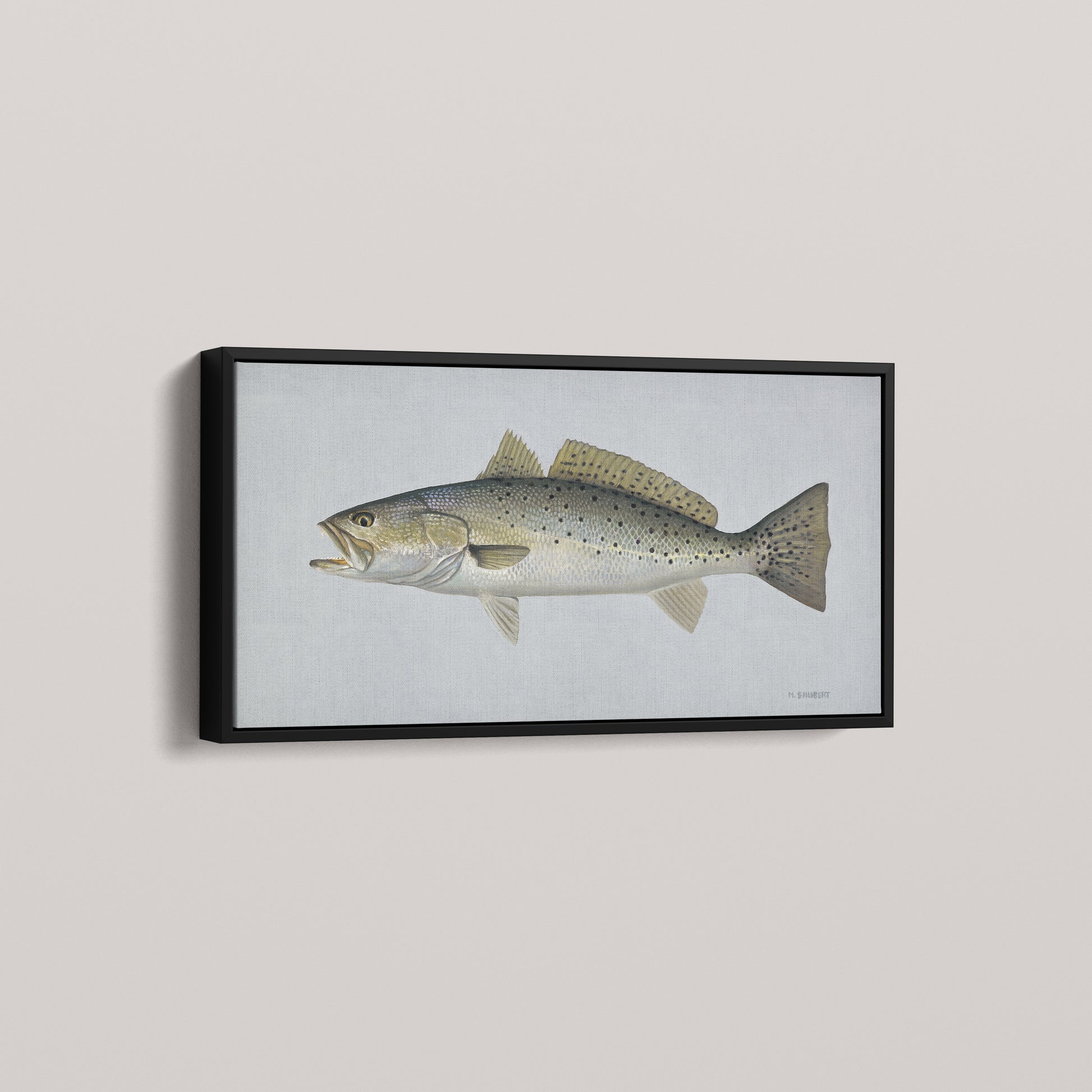 Speckled Sea Trout framed canvas mockup