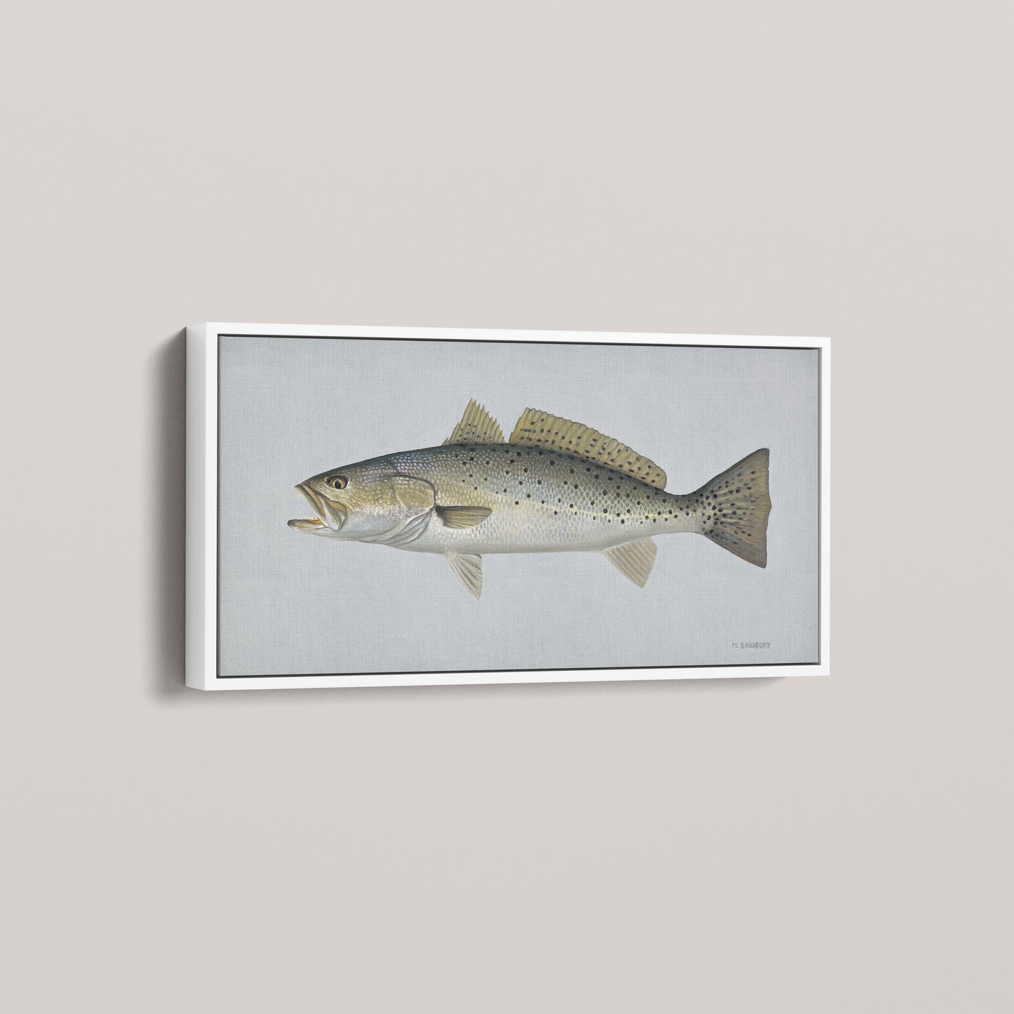Speckled Sea Trout framed canvas mockup