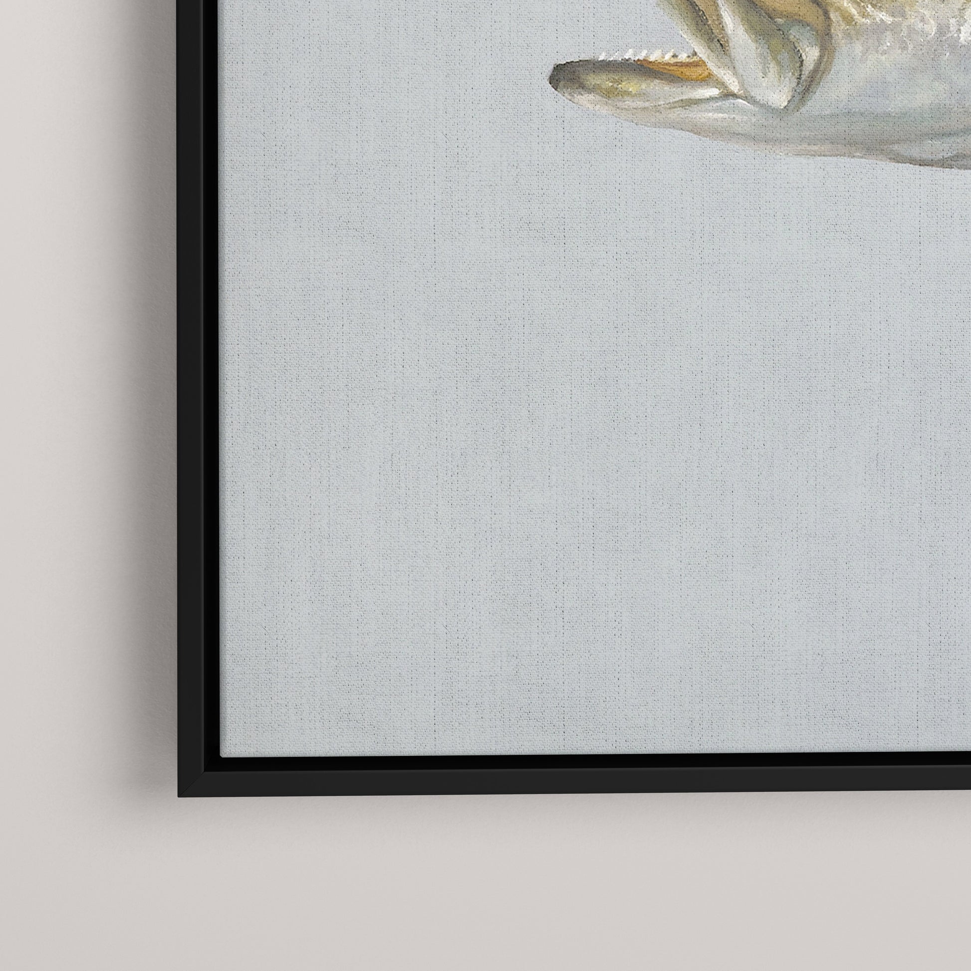 Speckled Sea Trout framed canvas mockup