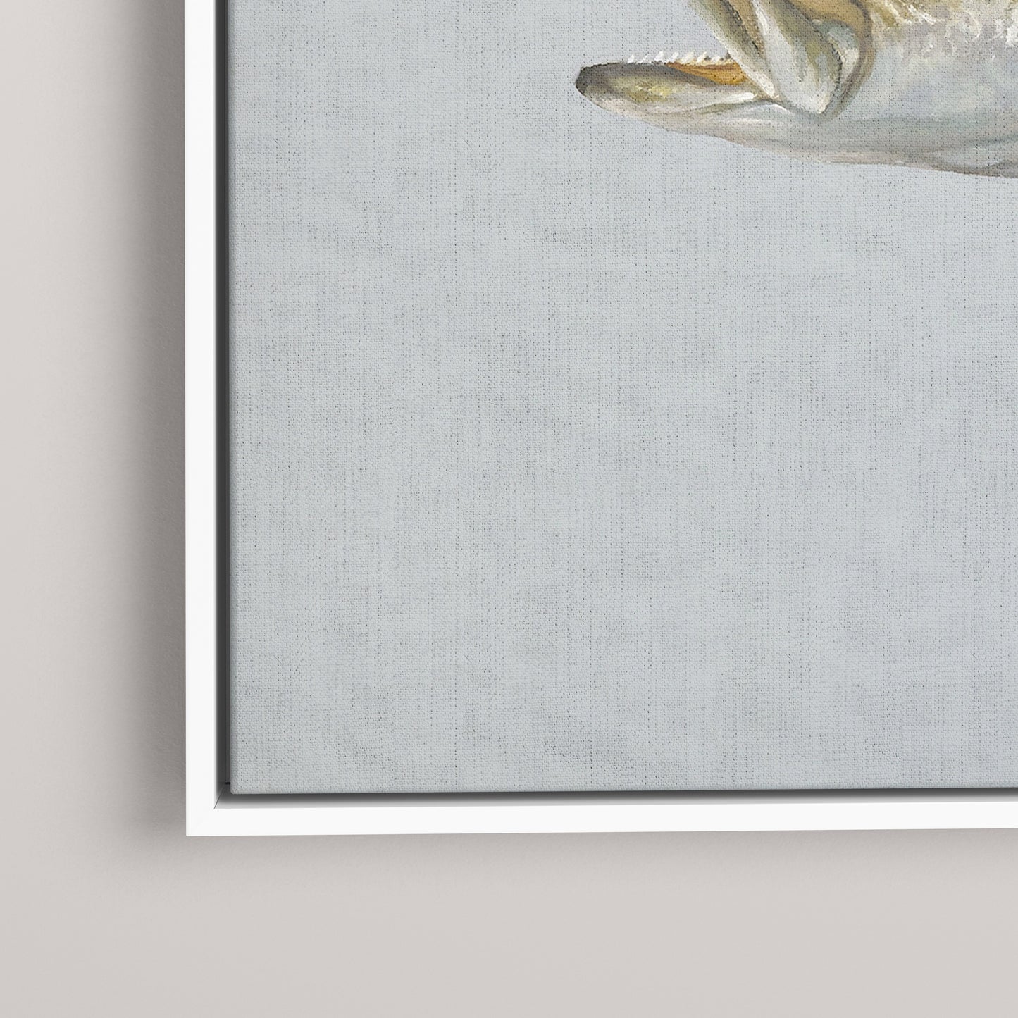 Speckled Sea Trout framed canvas mockup