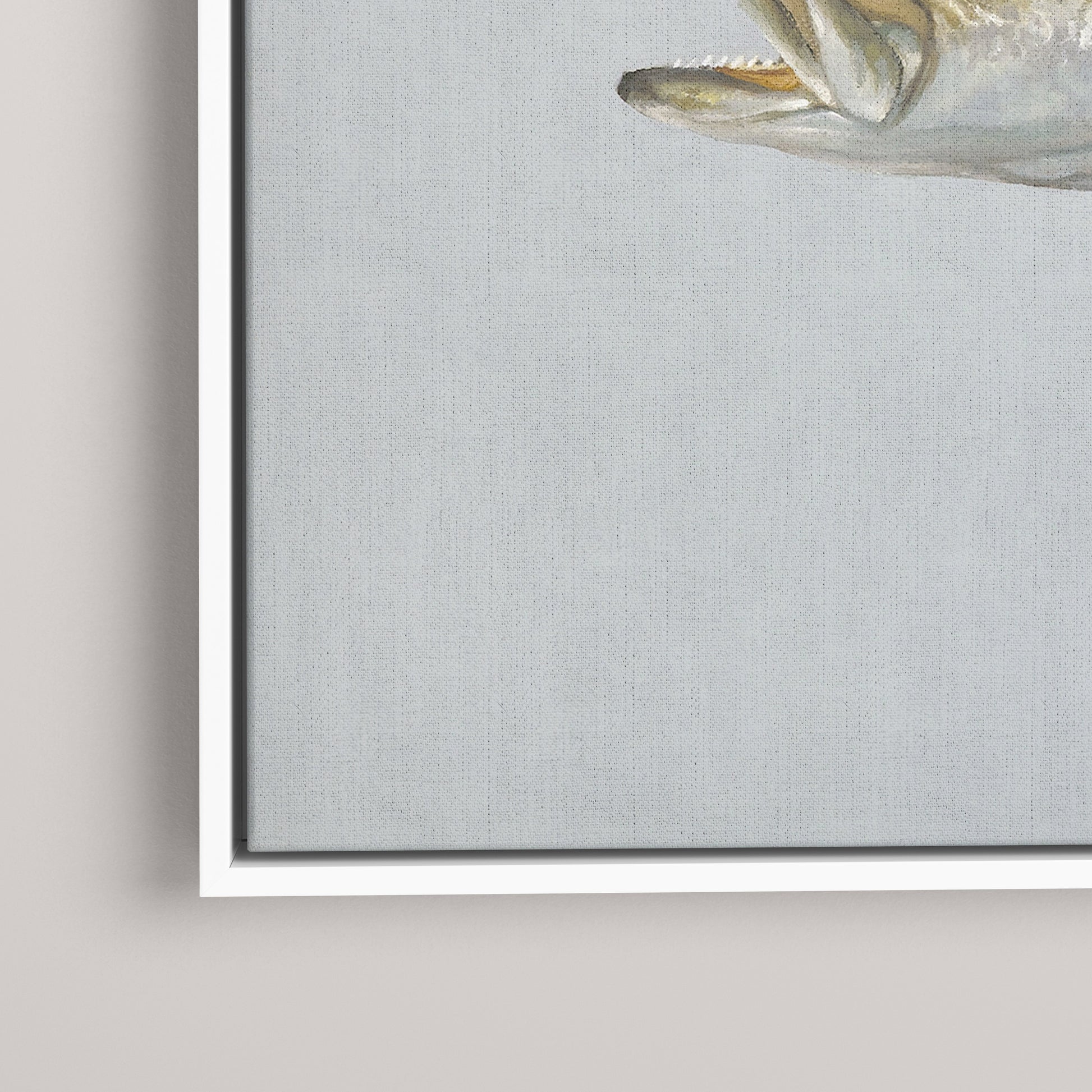 Speckled Sea Trout framed canvas mockup