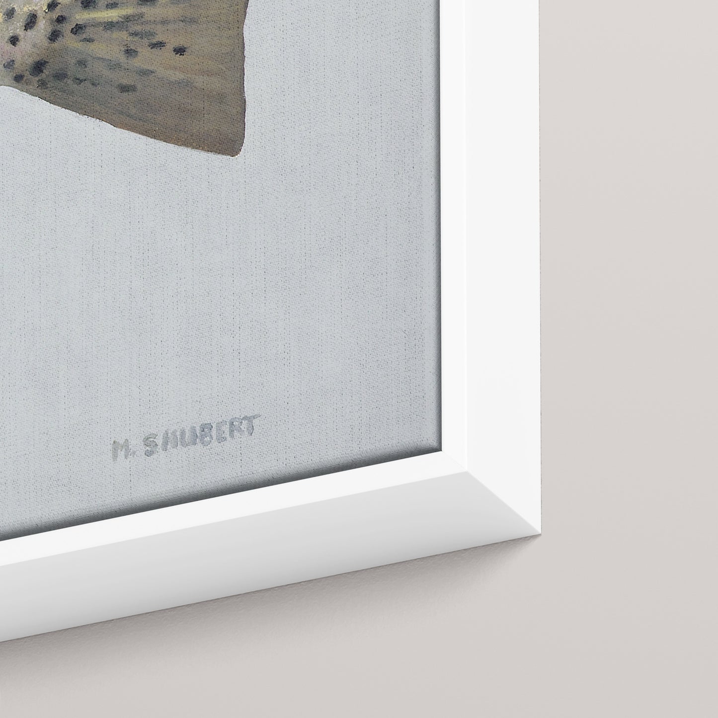 Speckled Sea Trout framed canvas mockup