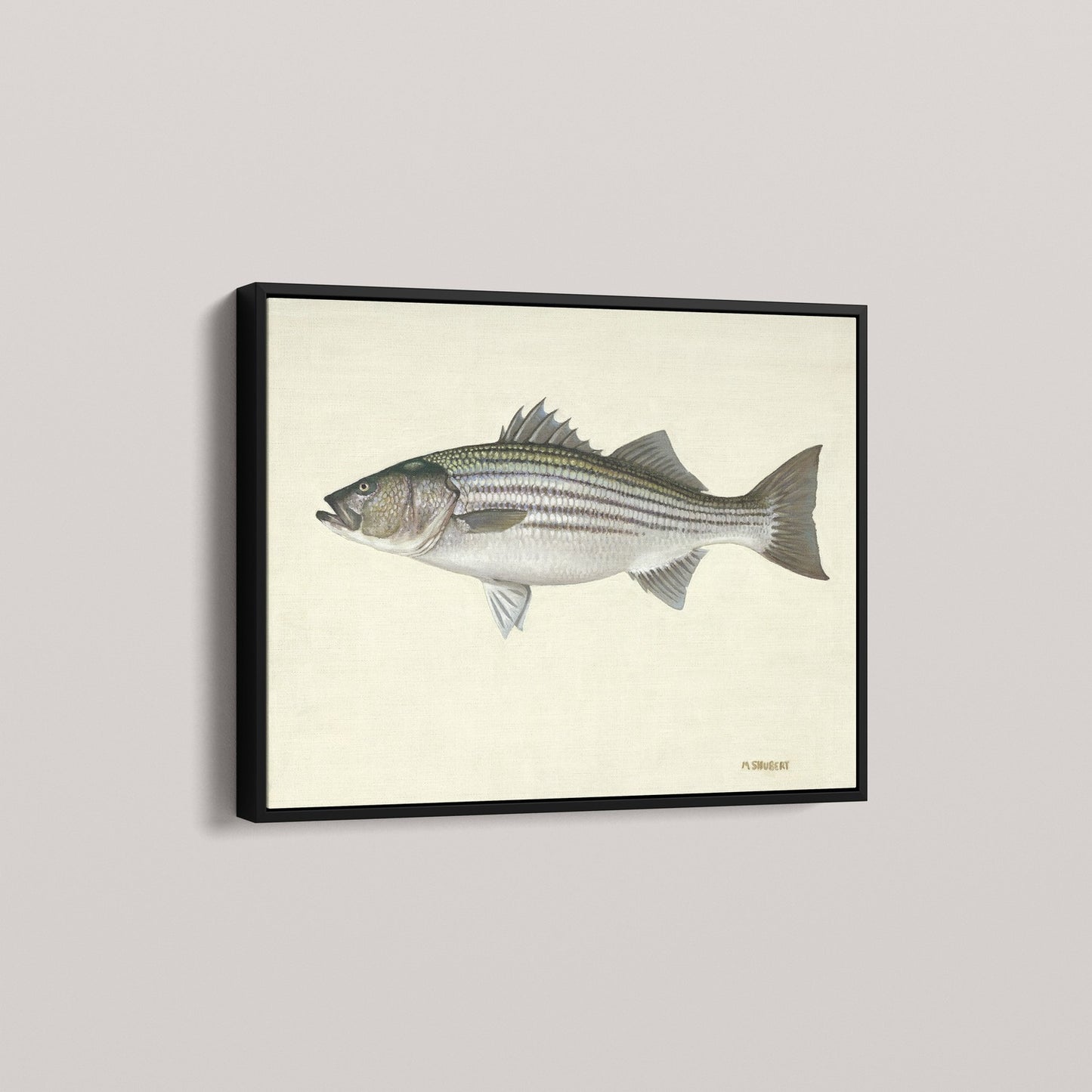 Striped Bass (1 of 100 Limited Edition)