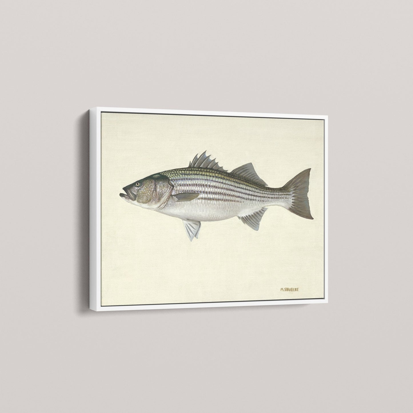 Striped Bass (1 of 100 Limited Edition)
