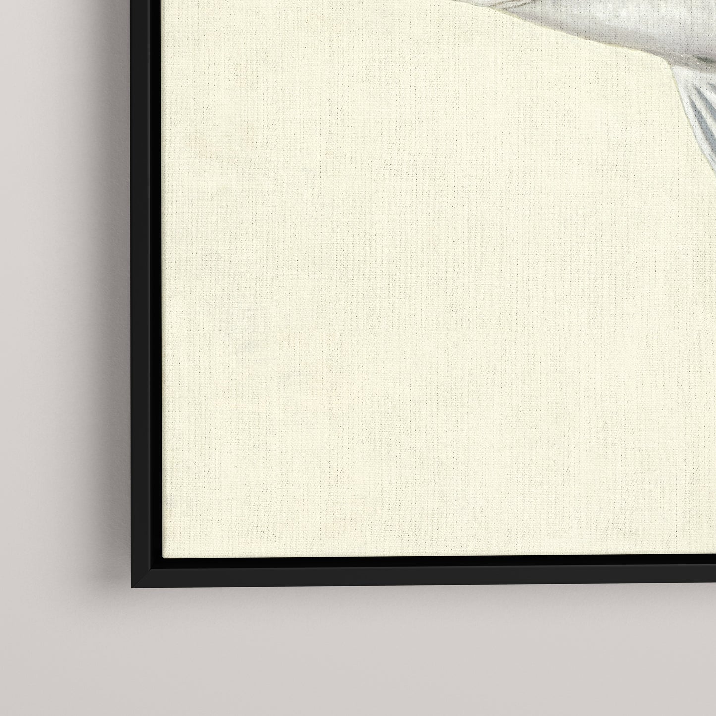 Striped Bass (1 of 100 Limited Edition)