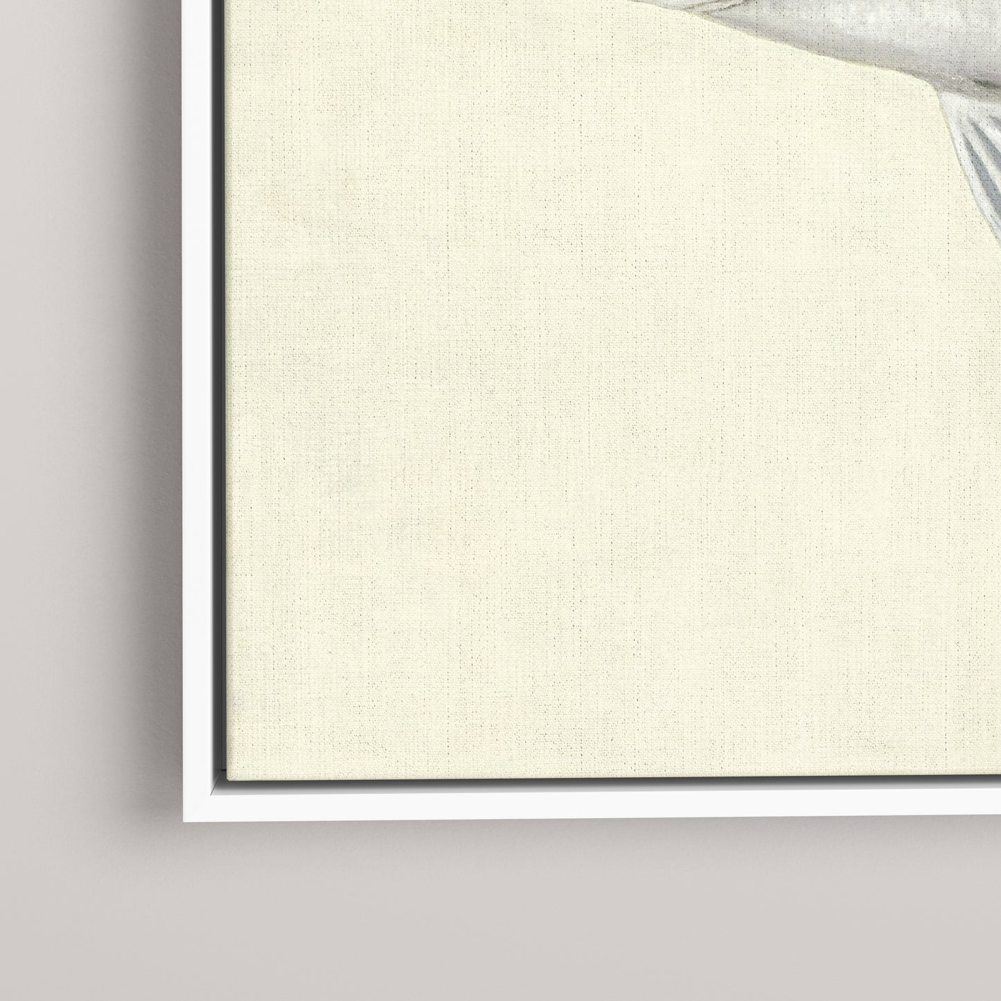 Striped Bass (1 of 100 Limited Edition)