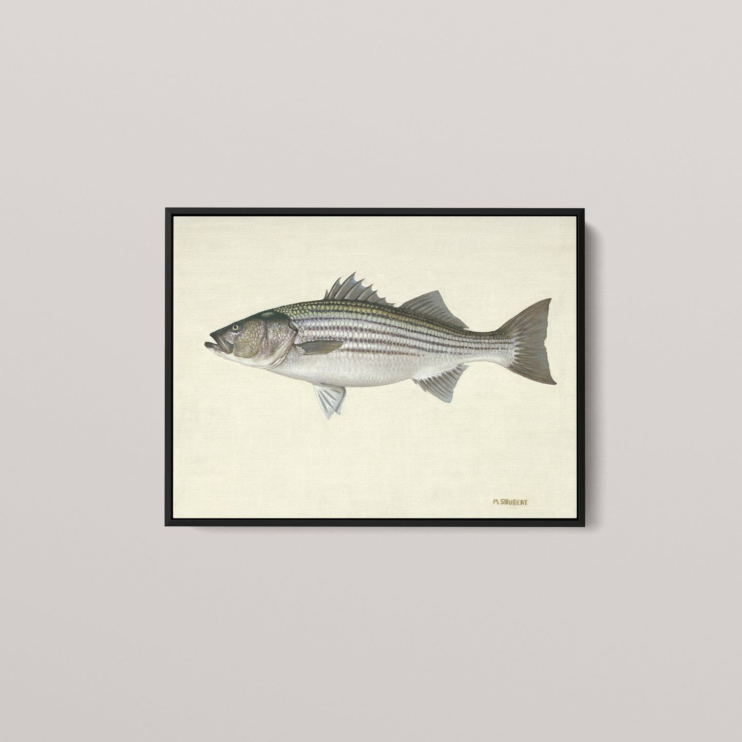 Striped Bass (1 of 100 Limited Edition)
