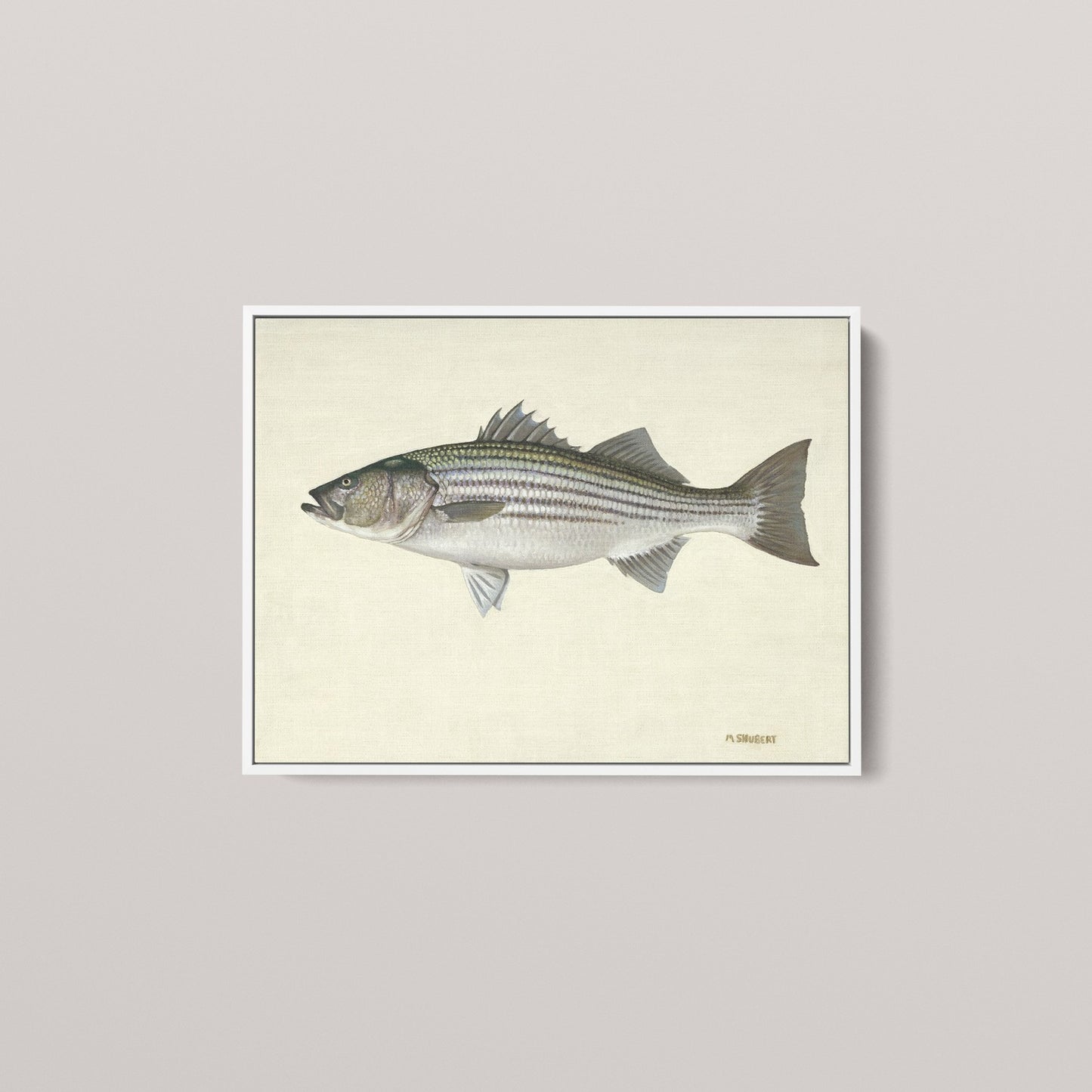 Striped Bass (1 of 100 Limited Edition)