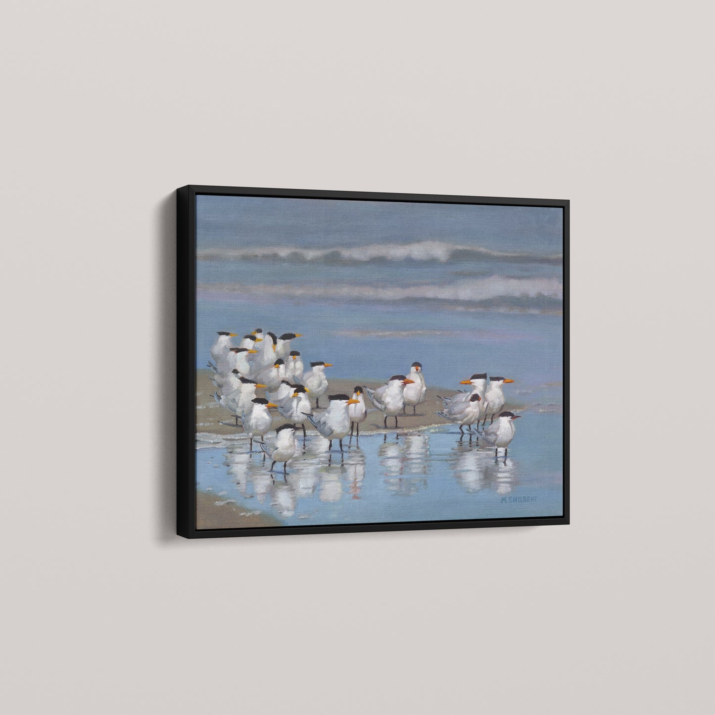 Royal Terns (1 of 50 Limited edition)