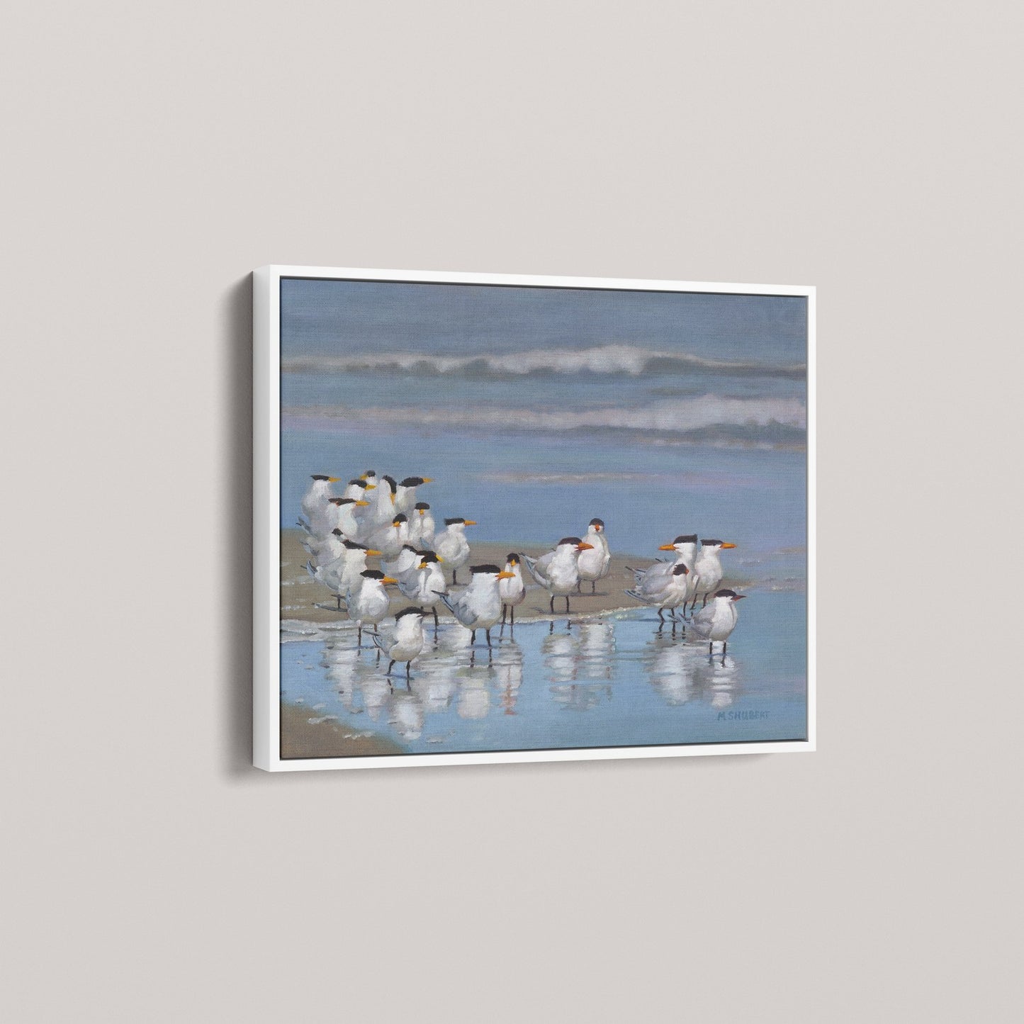 Royal Terns (1 of 50 Limited edition)