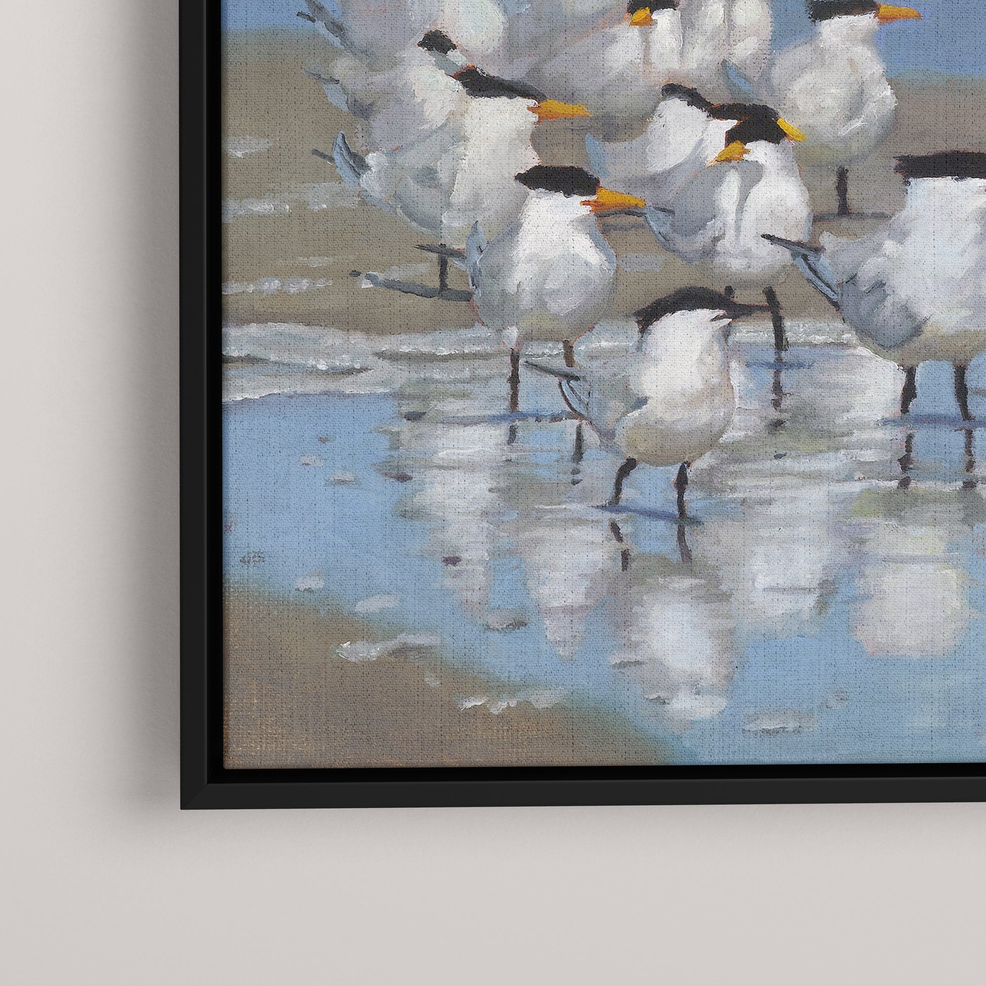 Royal Terns (Limited edition)
