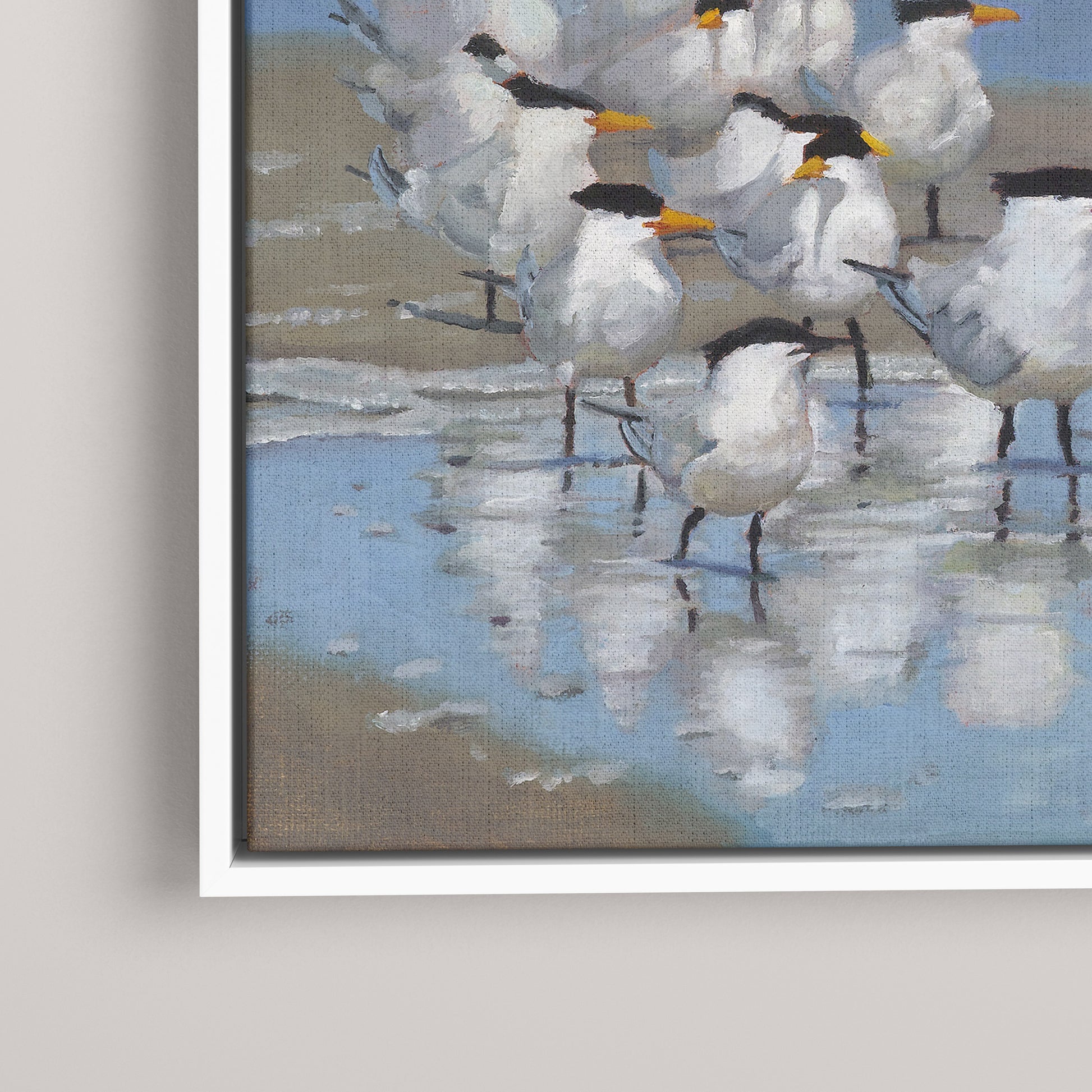 Royal Terns (Limited edition)