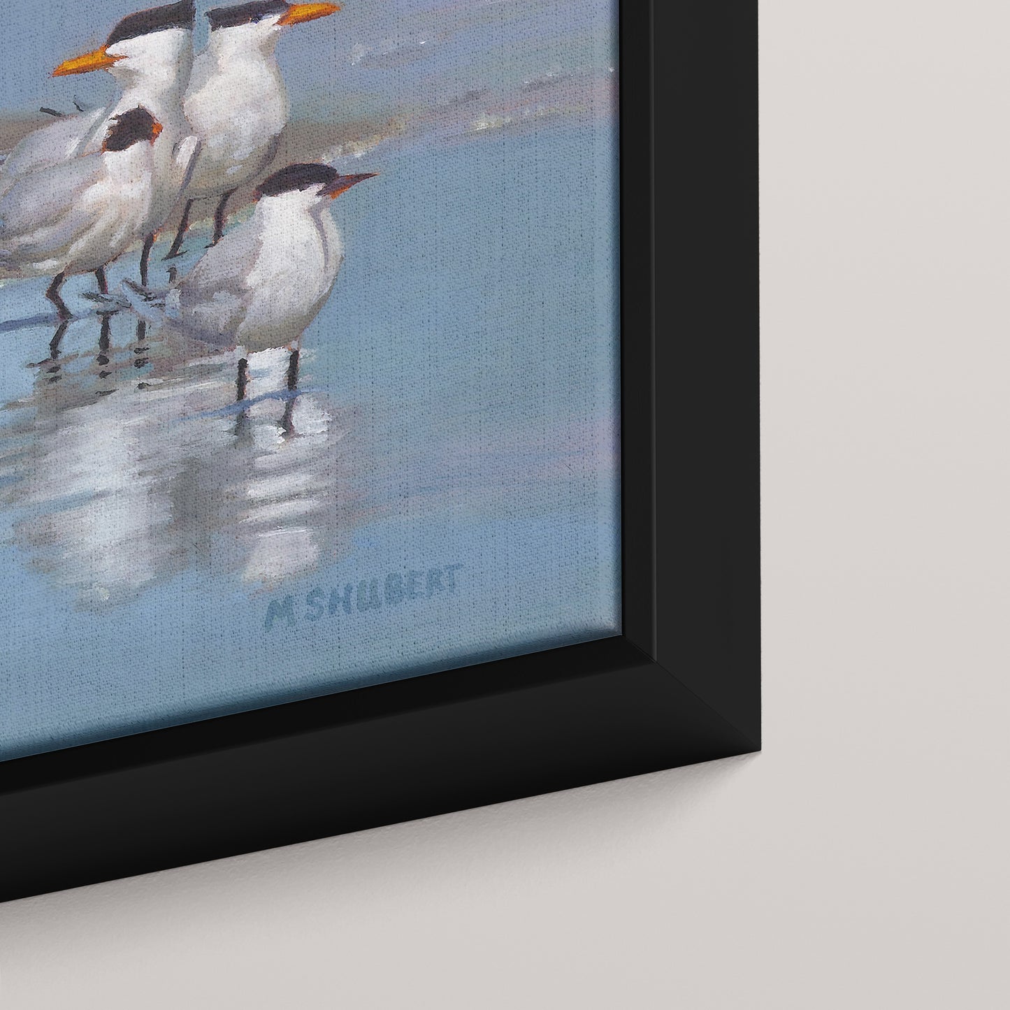 Royal Terns (1 of 50 Limited edition)