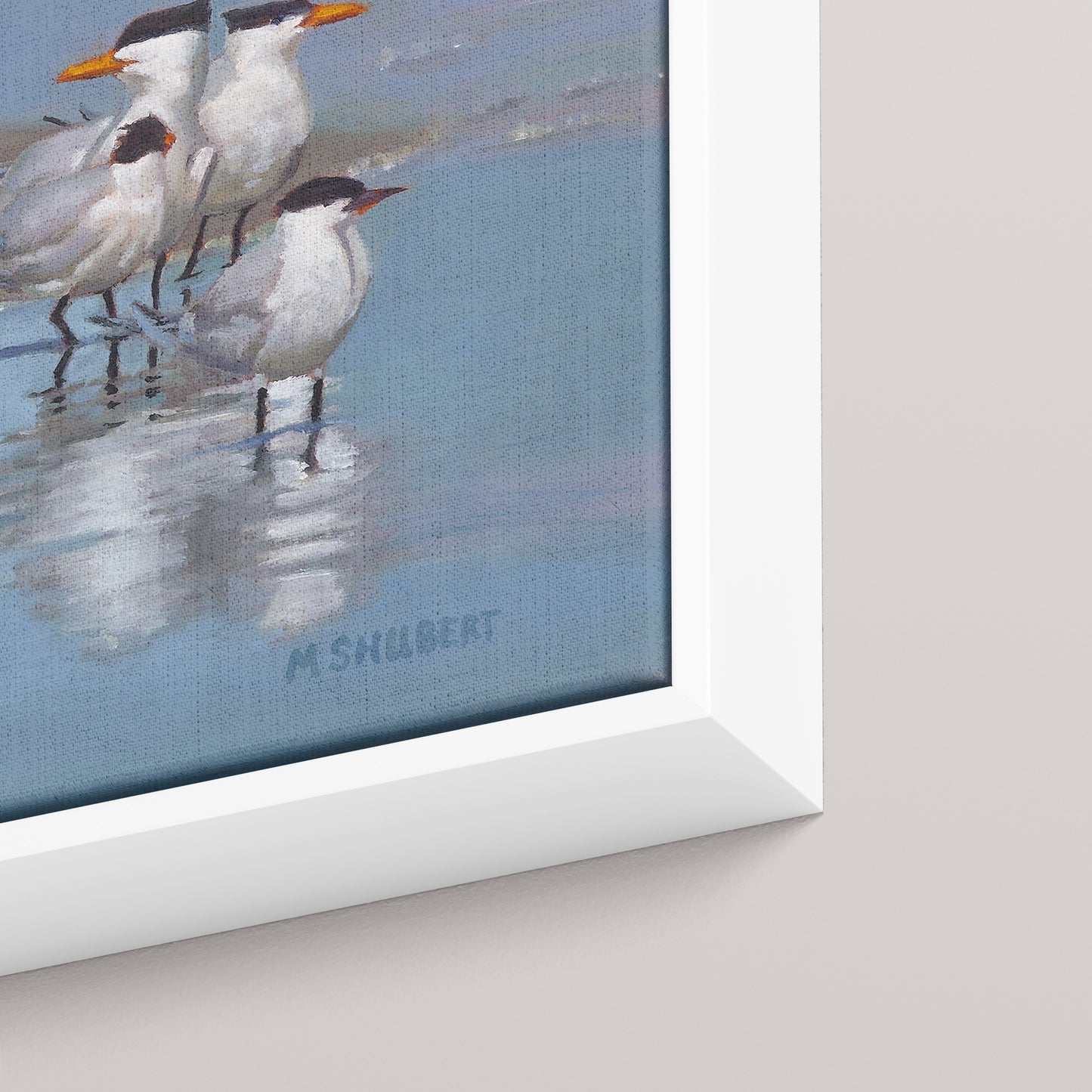 Royal Terns (1 of 50 Limited edition)