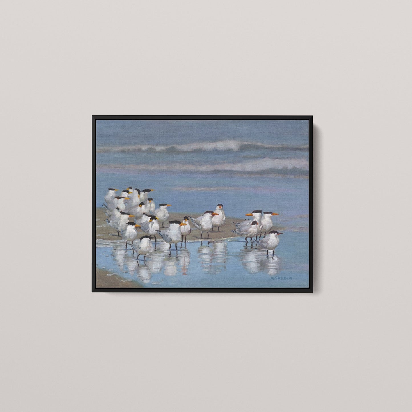 Royal Terns (1 of 50 Limited edition)