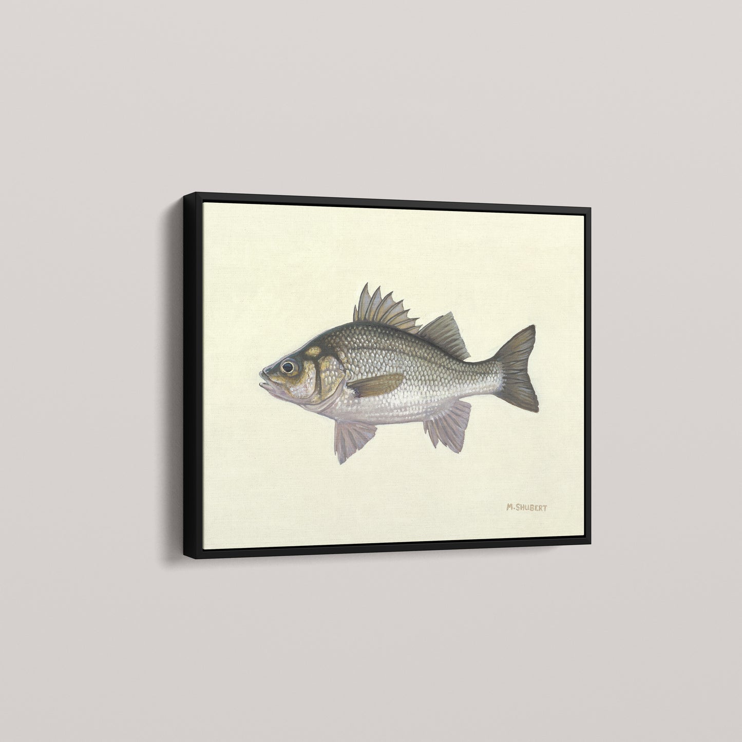 White Perch (1 of 100 Limited Edition)