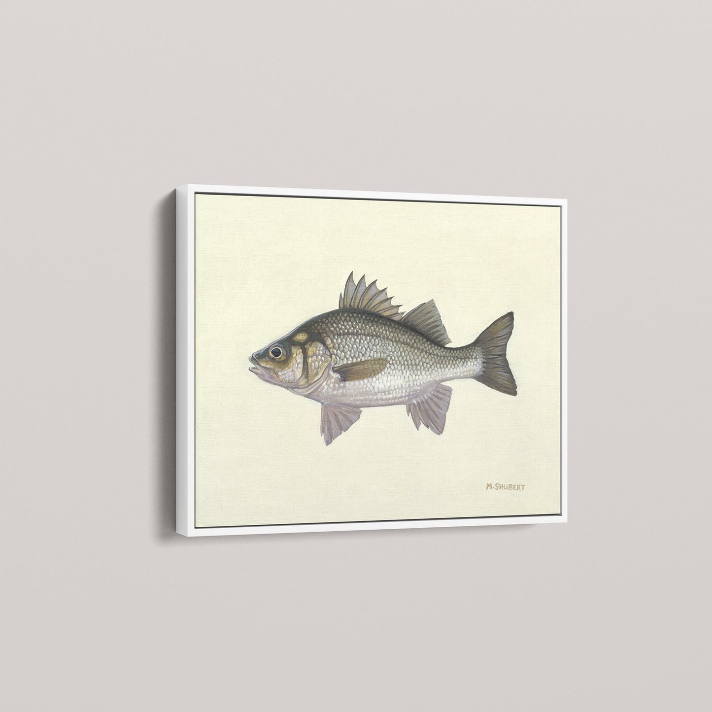 White Perch (1 of 100 Limited Edition)