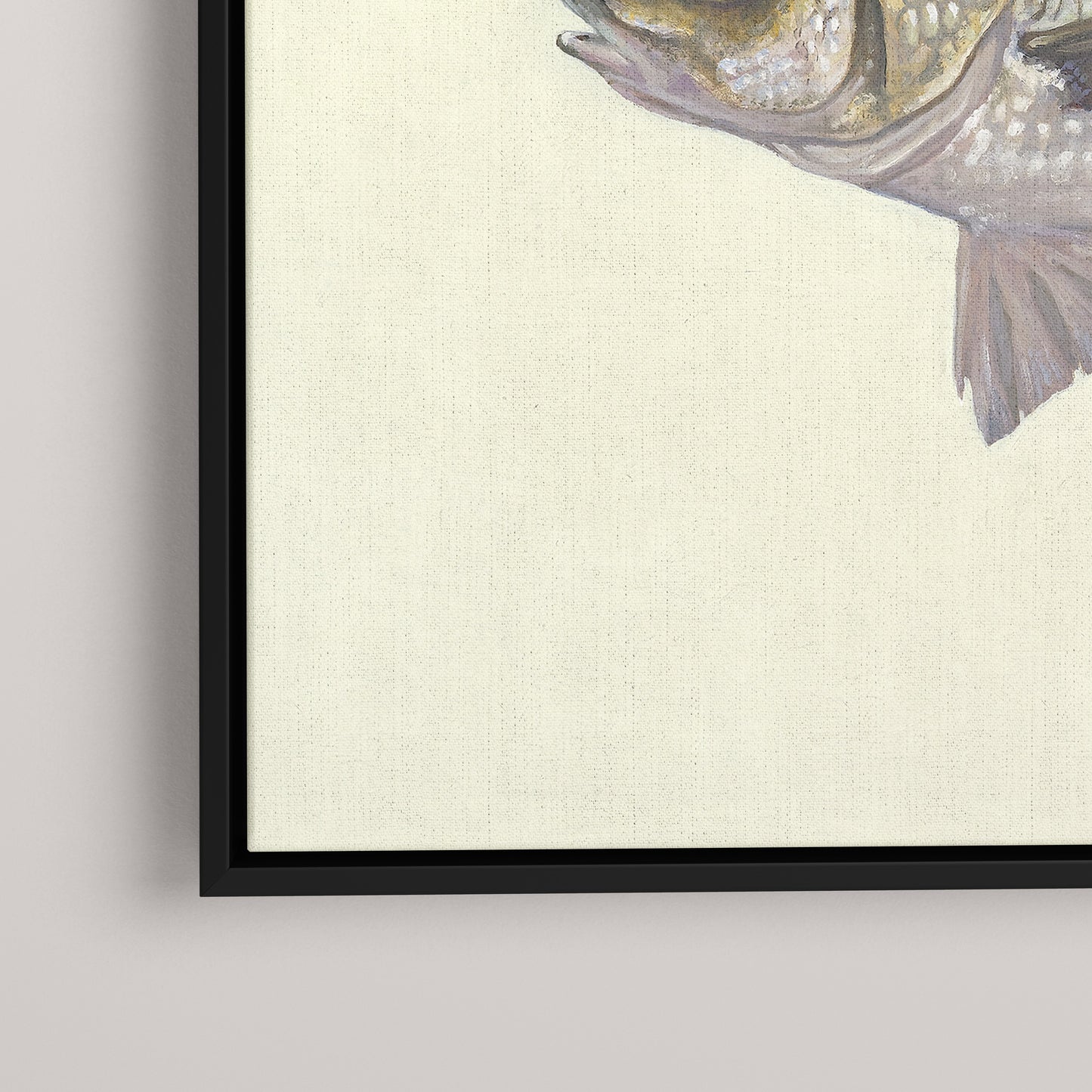 White Perch (1 of 100 Limited Edition)