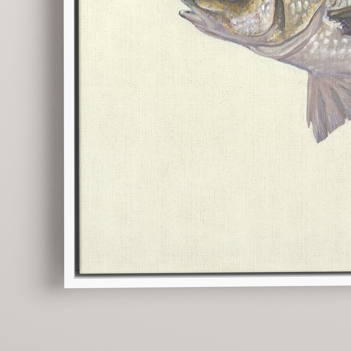 White Perch (1 of 100 Limited Edition)